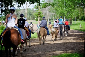 Afternoon Horseback Riding